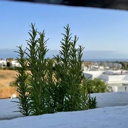 Wunderschone Ferienwohnung Mit Pool Und Meerblick Apartment *